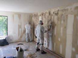 Best Biohazard Mold Removal  in USA